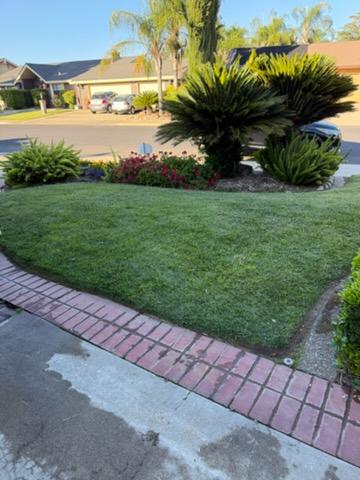 After Front Yard Junk Removal & Cleanup in Turlock, CA, CA