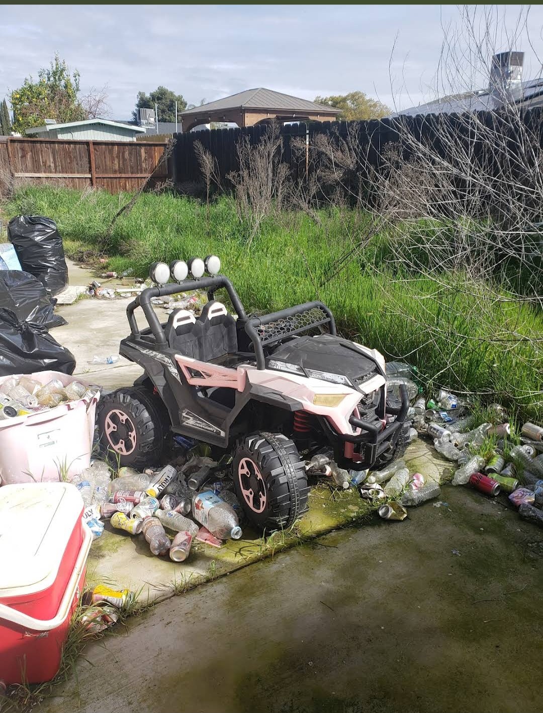 Before Backyard Junk Removal & Overgrown Yard Cleanup in Turlock, CA in Turlock, CA, CA