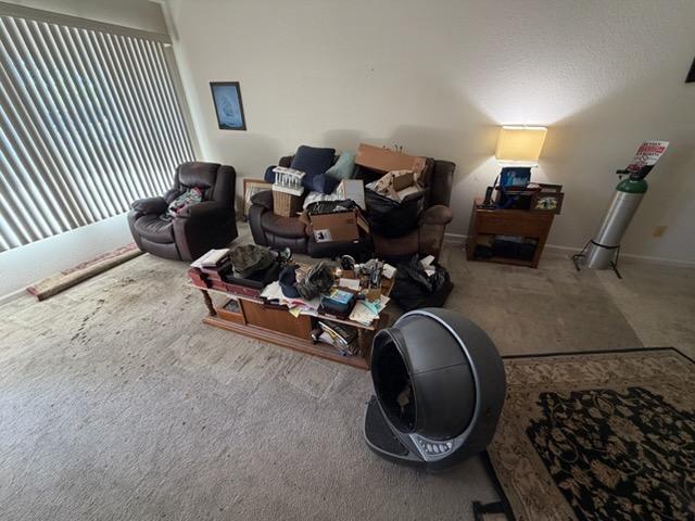 Before Living Room Junk Removal & Household Cleanout in Ripon, CA, CA