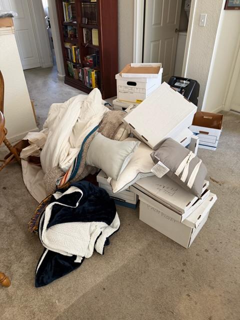 Before project photo 2 showing living room junk removal & household cleanout in Ripon, CA